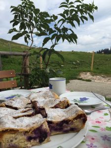 alm-topfenstrudel-img_0835_sh